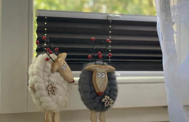 Schöne Wohnung in der Altstadt - Foto 7