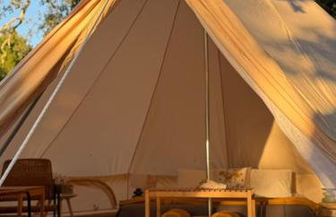 Monte da Tojeirinha - Photo 10