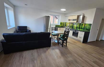 2Zi Apartment in Schloss Neuhaus mit Ladestation für Elektroautos - Foto 19