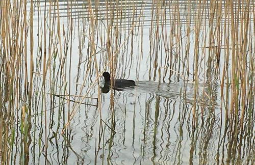 Landhaus Renata Bayrischzell - Foto 79