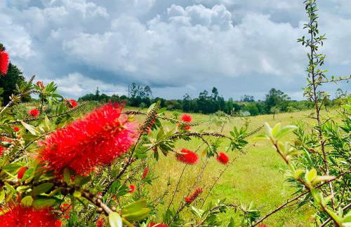 The Oak Tree Farm - Open Layout Concept by Portus Alacer - Ideal for Families - Unplug, Unwind, and Reconnect with Nature - Foto 40