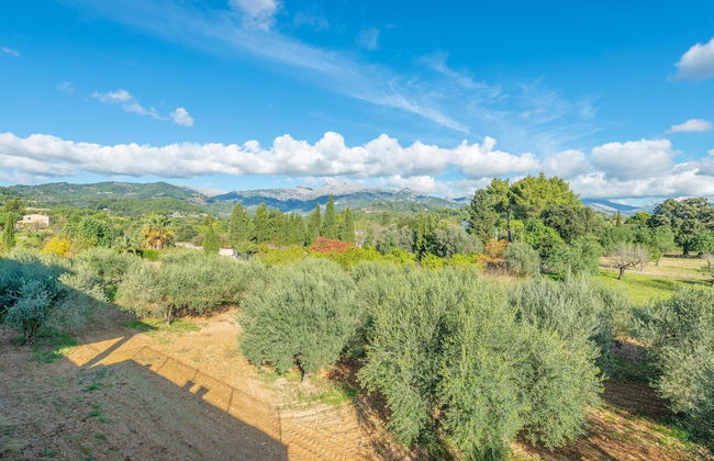 Casa Selva - Photo 40