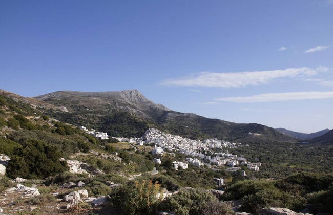 Giannakis Filoxenia - Foto 41