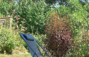 Cantal Gite au pied du Griou Super Lioran - Foto 9