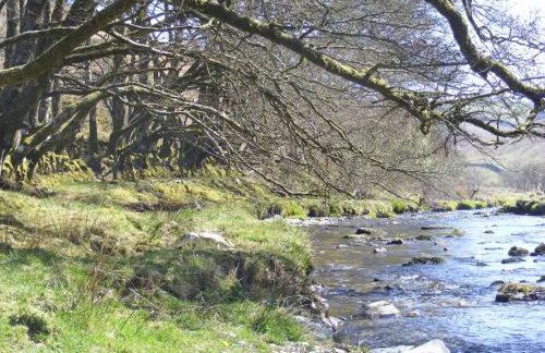 Pennycombe Cottage, Westerclose, Withypool - Foto 12