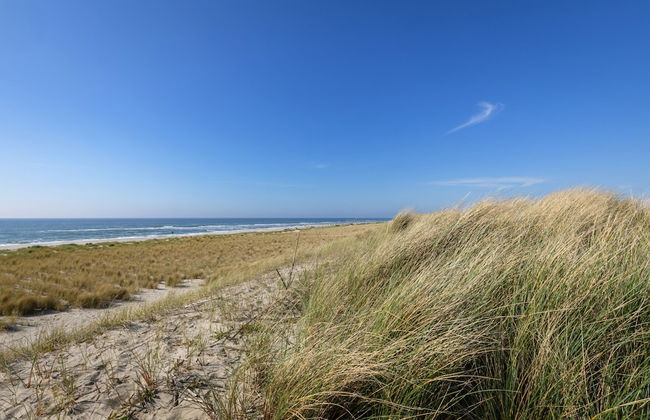 Holiday Home in North Holland Near Beach - Foto 28