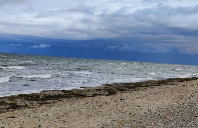 "sandpiper" on Rugen - Foto 21