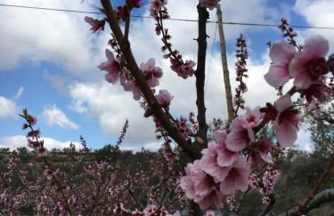 Penthouse Seaside - Foto 42