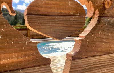 Chalet le Bô & Spa - Foto 13