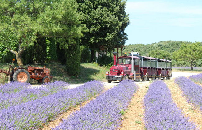 Visita a la Maison de la Lavande - Foto 3