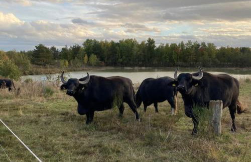 Idyllische Familien-Oase - Foto 36