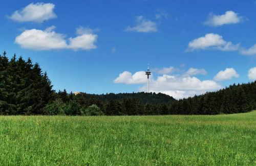 Ferienwohnung Blick Rappenstein - Foto 23