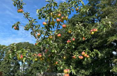 Ferienapartments Spreewaldwiesen - Foto 20