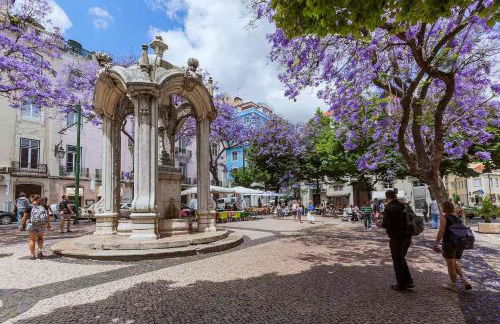 Água-da-Flor apartments - Photo 6