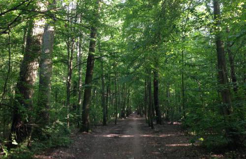 Apartament Kabaty - Foto 10