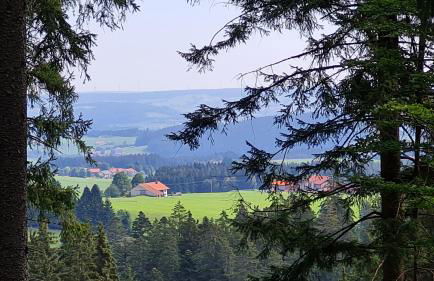 AMW Ferienwohnungen - Foto 53