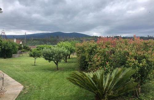 Vila Delfina - Foto 19