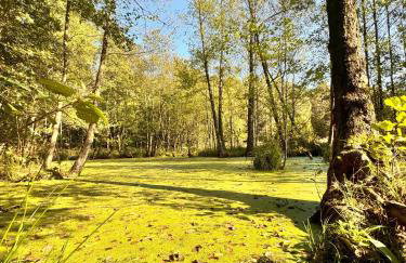 GrandBytyń House - Foto 66