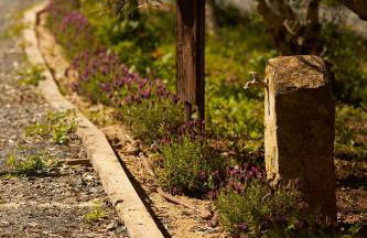 Quinta do Marmeleiro - Casa Marmeleiro - Foto 46