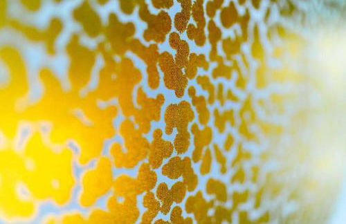 La Villetta G Blotzheim - Appartement de Standing - Foto 40