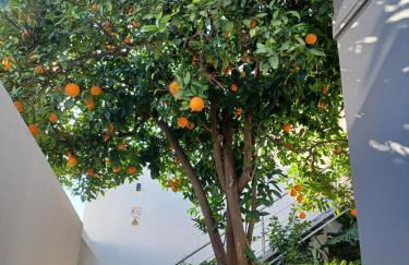 VILLA CERRO E MAR Apartement - Foto 10