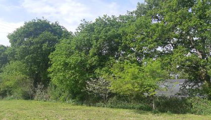 Casa de Corbelle - Foto 5, Garden