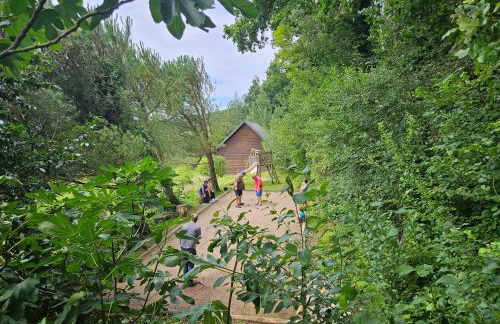 Coqslitscaux - Foto 74