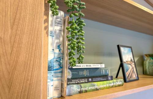 Little Curlew, Ynyslas, Borth - Foto 15