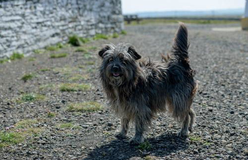 Self-catering Lighthouse Keeper's Cottage on the NC500 - Photo 60