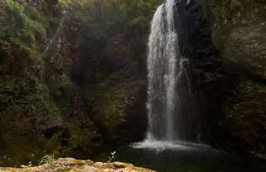 La Rotonda - Foto 11