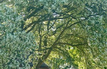 The Granary - Foto 45