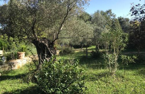 Charmante maison - Foto 19