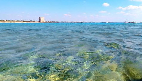 Salento Houses Superior Holiday - Foto 5