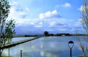 Ca Na Vinyet - Foto 38