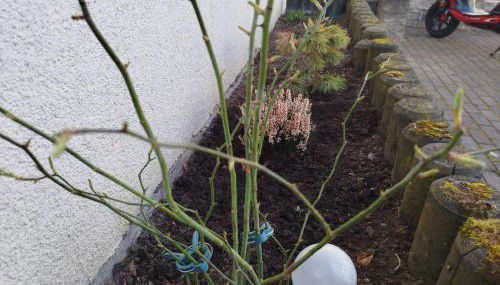 Apartment-Design 1, Altendtadt - Foto 2