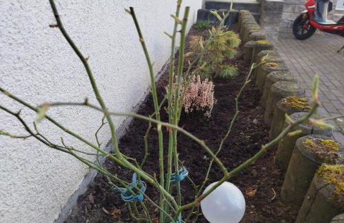 Apartment-Design 1, Altendtadt - Foto 2