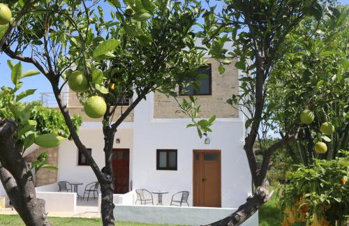 Villa Stefania Dream - Photo 54