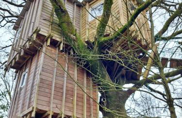 Le nid dans le chêne - Photo 22