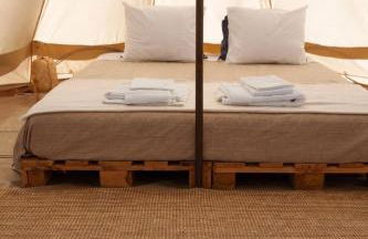 Monte da Tojeirinha - Foto 10