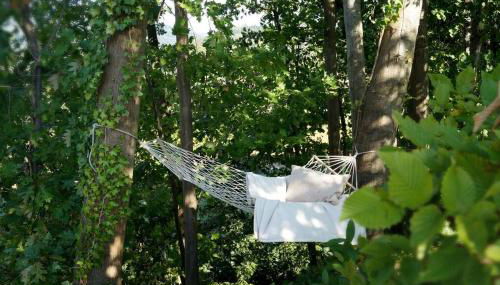 Wohnung am Fuße des Schwarzwalds - Foto 5