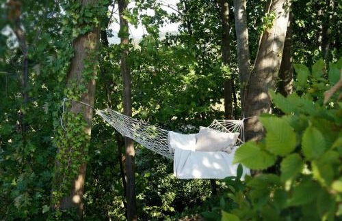 Wohnung am Fuße des Schwarzwalds - Foto 5