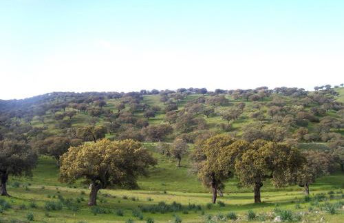 Casa Rural Abuela Maxi - Foto 73