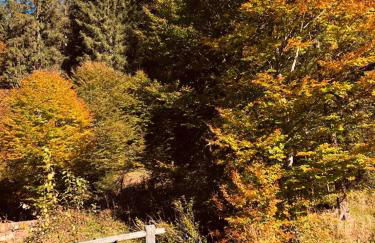 Baita Alpenrose - Photo 25