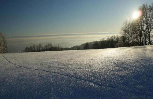 Ferienwohnung, Zenting - Foto 59