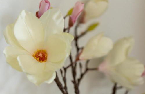 Schöne Ferienwohnung in Oberkotzau am Fichtelgebirge - Foto 14