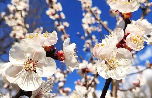 Villa Tuscan Prestige 25 ospiti Piscina Jacuzzi - Foto 27