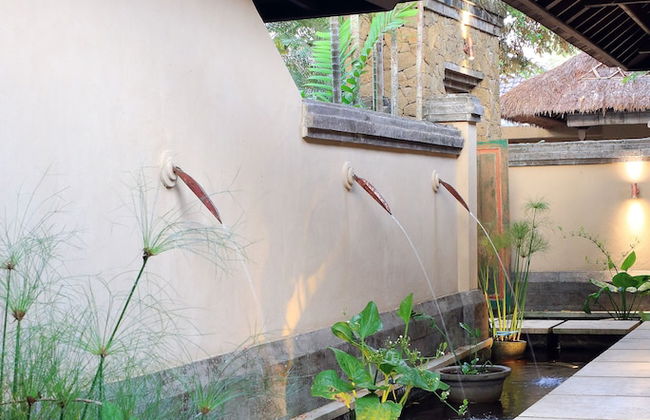 Tamu Seseh - Foto 46