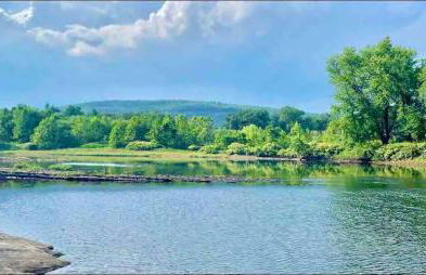 Charming Milford Montague Riverway Cottage - Foto 8