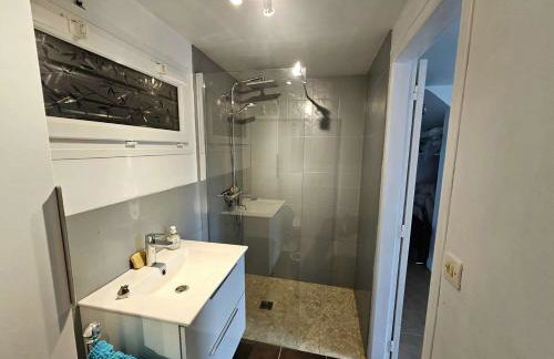 Grande maison normande, vue mer à 75 metres de la plage, équipé spa de nage - Foto 8