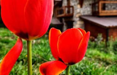 CHALET Σπιτι στο βουνο - Foto 30